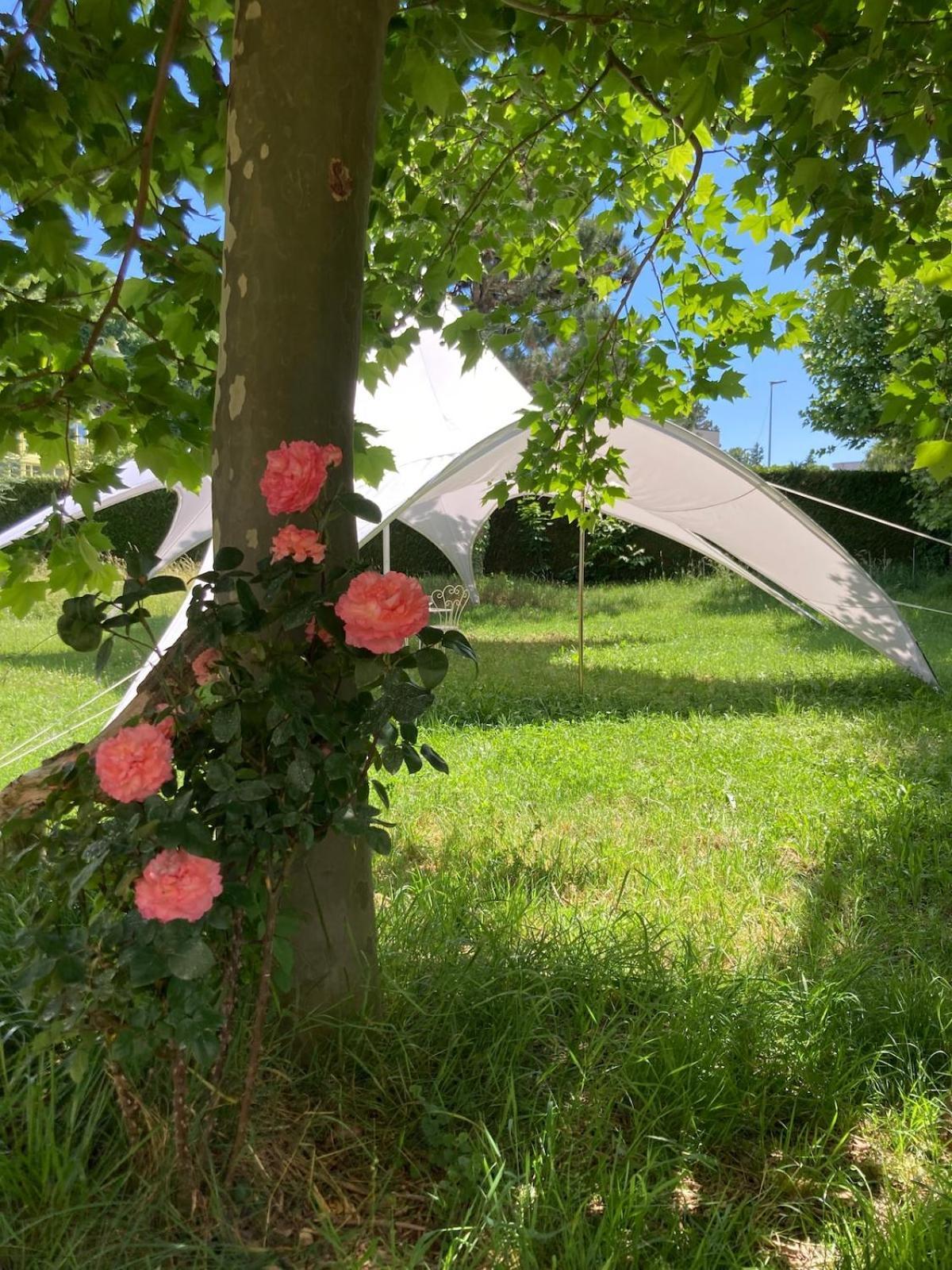 La Garconniere Villa Colombier  Екстериор снимка